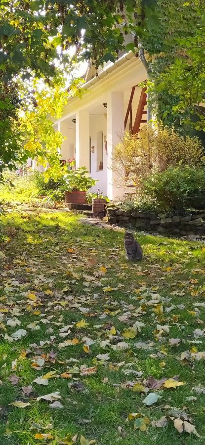 Egkoris Vendeghaz 호텔 Bakonyszucs 외부 사진